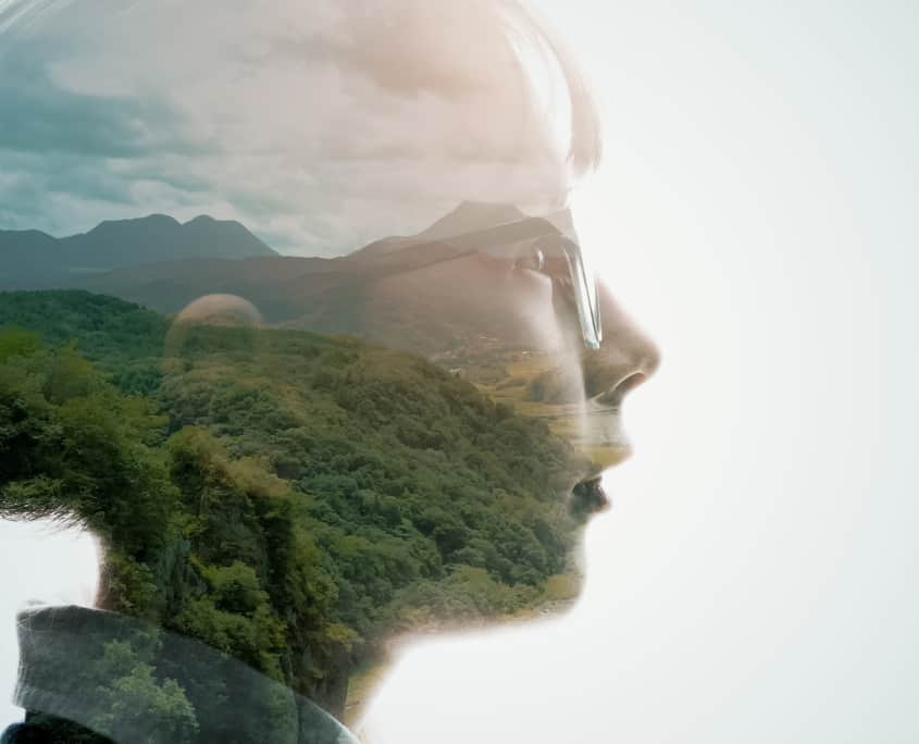 What are the Sustainable Priorities in 2023?