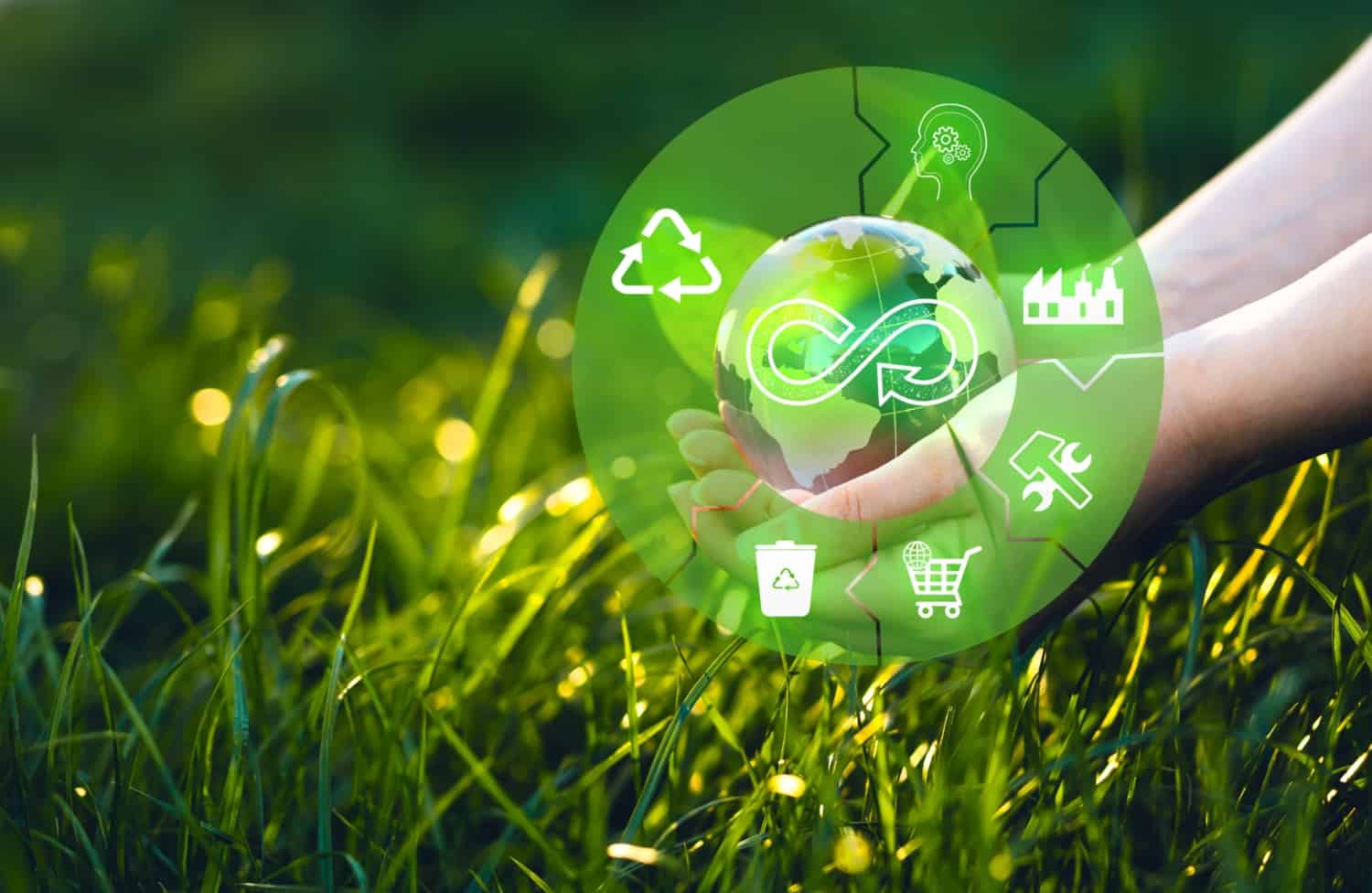Developing a closed-loop supply chain strategy