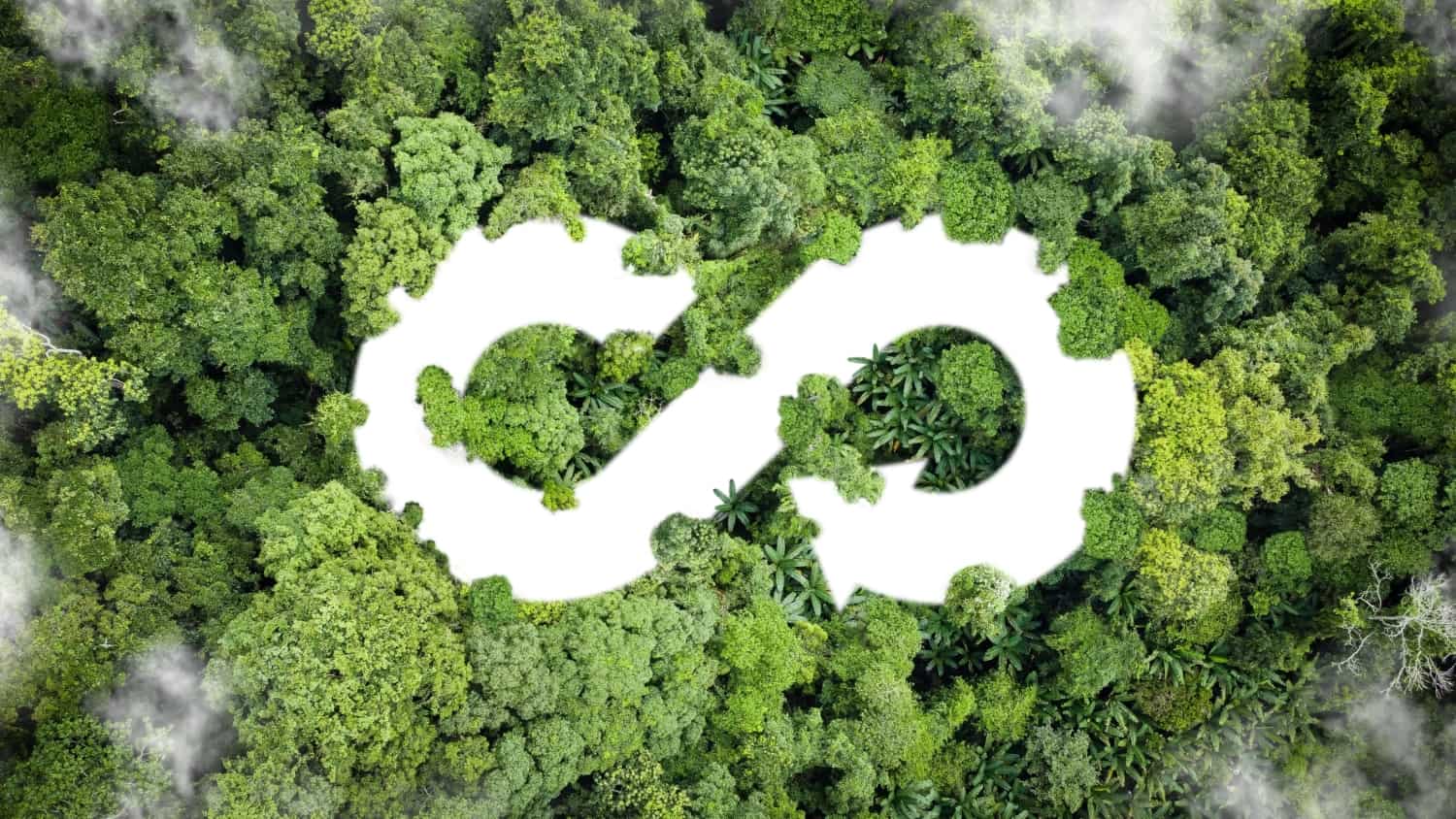 Circular supply chains reducing waste and emissions