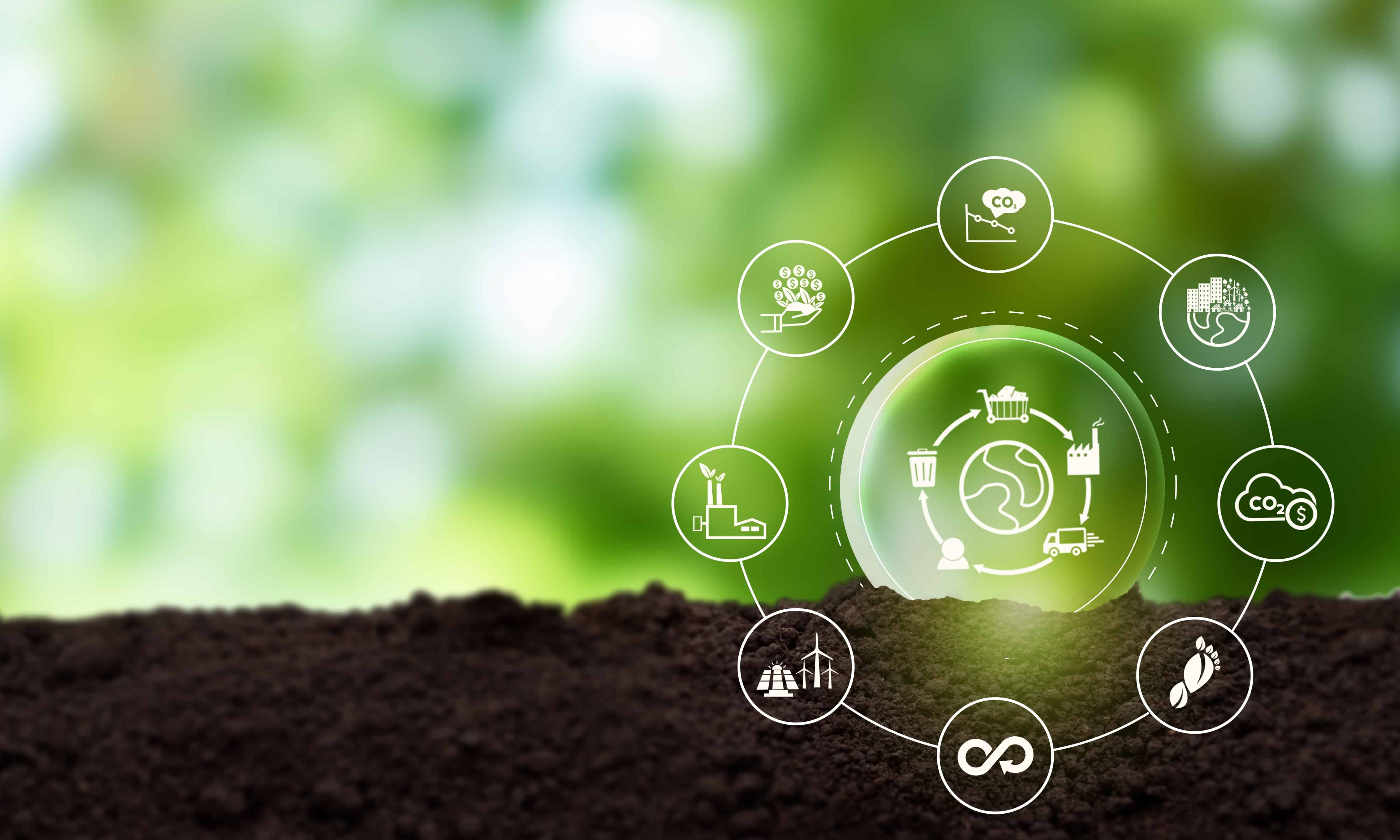 Growth of the Circular Economy and Development of Closed-Loop Supply Chains