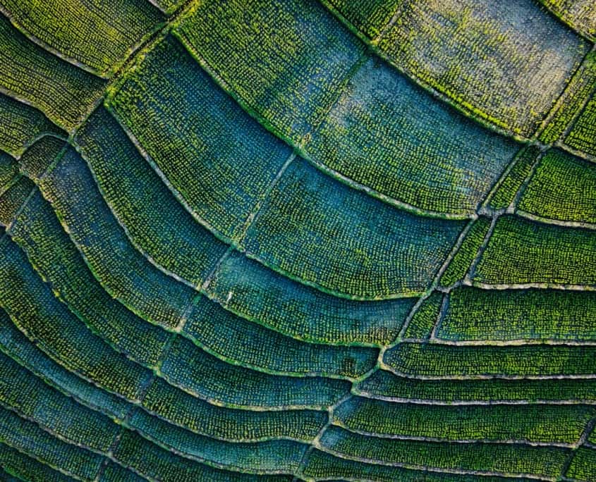 Integrating CSR into Your Supply Chain: A Roadmap for Socially Responsible Businesses