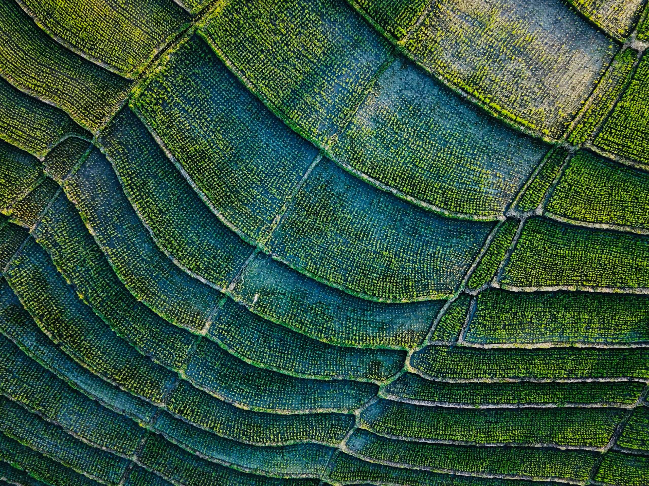 Integrating corporate social responsibility into the supply chain