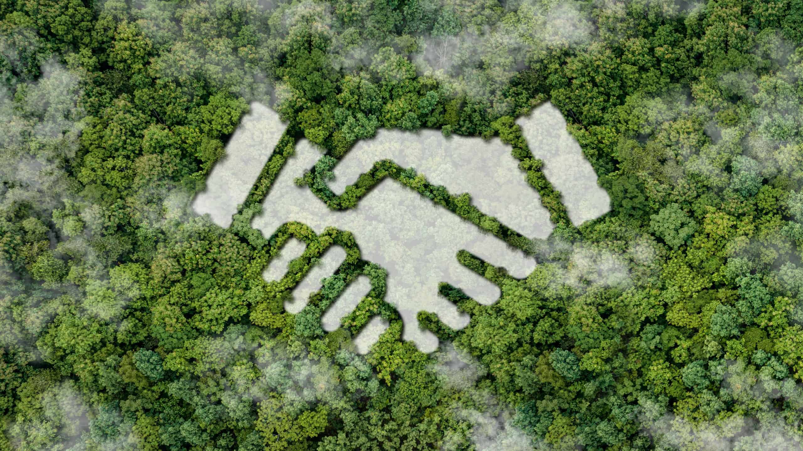 Sustainability and ESG in the supply chain