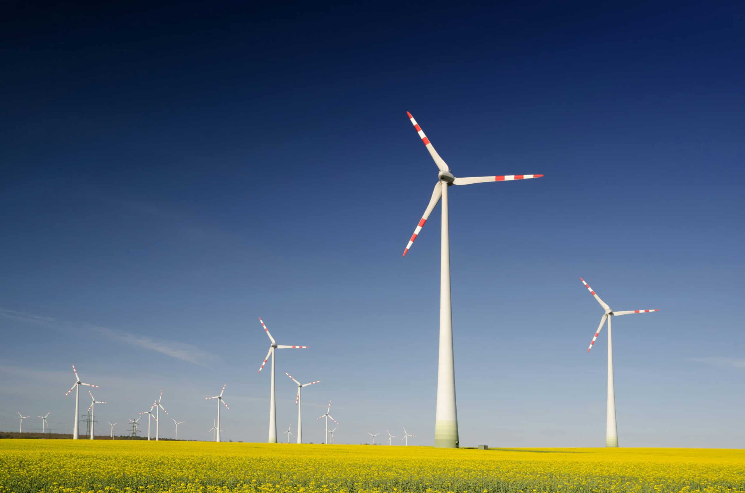 wind mill in a field
